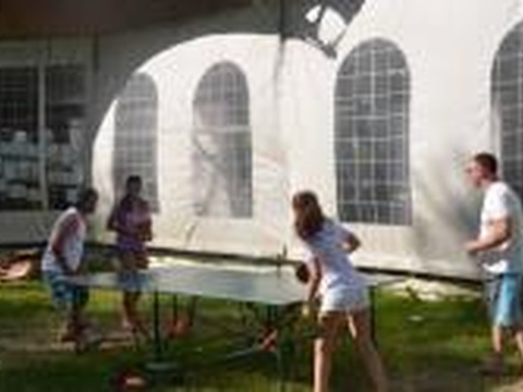 Корпоратив GlobalVentum: Ветеринарный фестиваль «Самый лучший день»