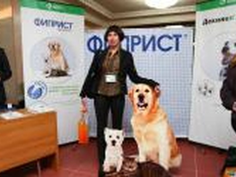«Агроветконсалтинг»: Сочинский ветеринарный фестиваль