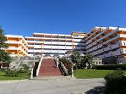«Агроветконсалтинг»: Сочинский ветеринарный фестиваль